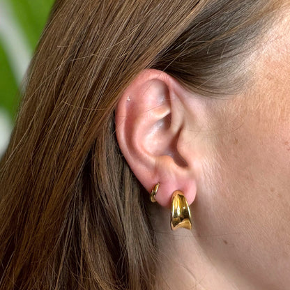 The LEO